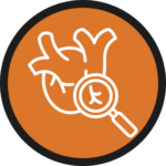 Cardiovascular Surgery