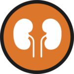 Nephrology - Dialysis