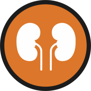 Nephrology - Dialysis