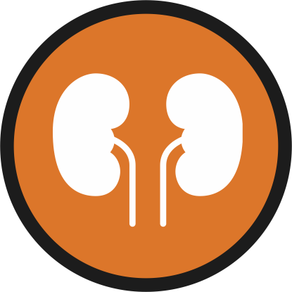 Nephrology - Dialysis